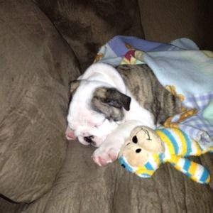 Meet your Posher, Heather